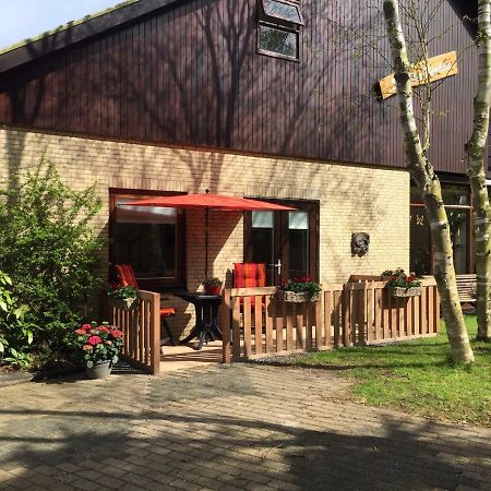 De Vier Berken 2 Bed & Breakfast De Koog  Exterior photo